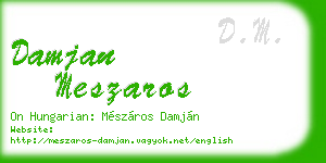 damjan meszaros business card